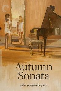 秋日奏鸣曲,悠扬旋律中的季节变迁与心灵共鸣