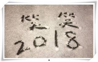 春潮欲涨,活力无限——春潮欲涨的蓬勃景象