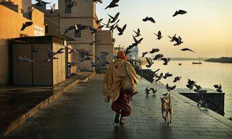 生死旅行,探寻生命奥秘的非凡旅程